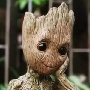 Meet your Posher, Jan